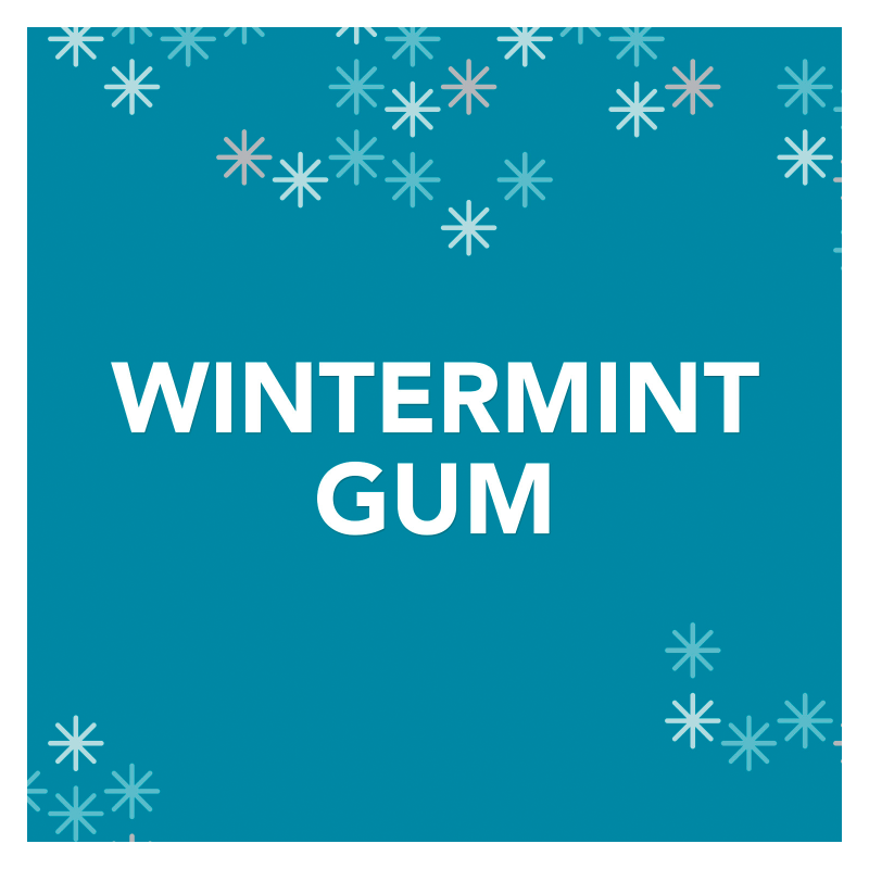 Orbit Wintermint Gum 14ct